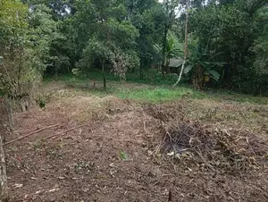 Kuruwita 40 P Prime Land for Sale