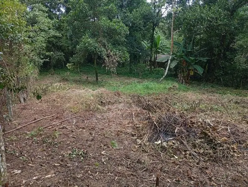 Kuruwita 40 P Prime Land for Sale