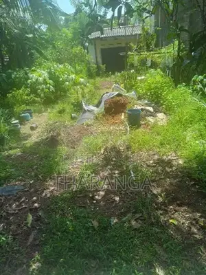 Land for Sale in Kalubowila