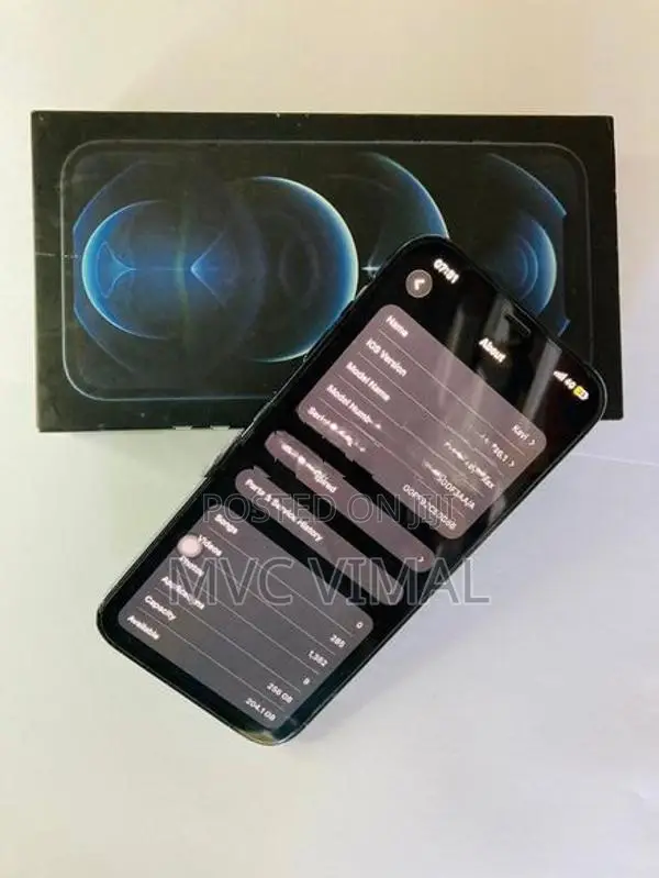 Apple iPhone 12 Pro Max 256GB (Used)