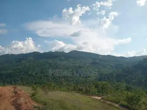 Land for Sale Deltota