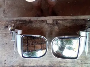 Dolphin Mirror