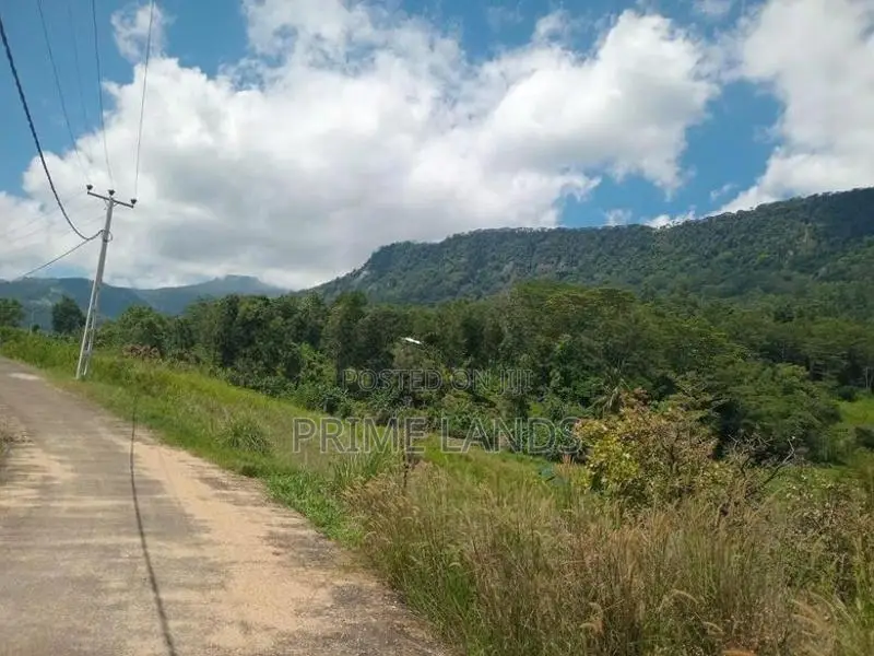 Land for Sale Deltota
