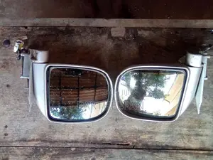Dolphin Mirror
