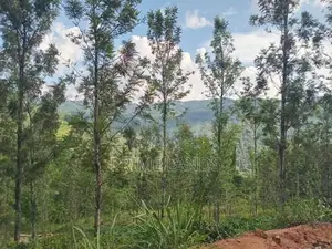Land for Sale Galaha