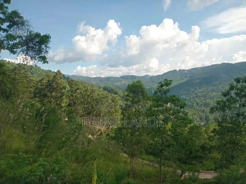 Land for Sale Galaha