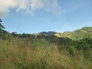 Land for Sale Nillamba