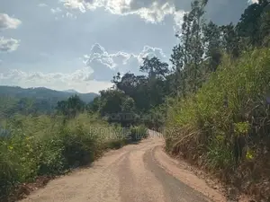 Land for Sale Galaha