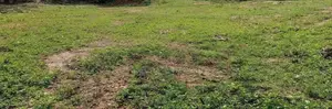 Nugegoda 14.2 P Prime Residential Land for Sale in Mirihana