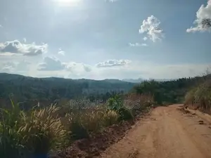 Land for Sale Nillamba