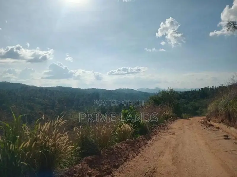 Land for Sale Nillamba