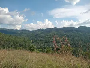 Land for Sale Nillamba