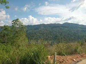 Land for Sale Nillamba