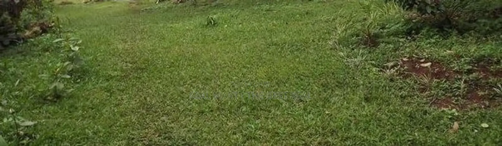 Dehiwala 17P Prime Land for Sale in Aththidiya