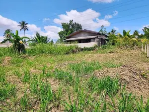 වේයන්ගොඩින් පර්චස් 10ක අගනා බිම් කොටසක්