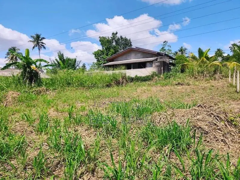 වේයන්ගොඩින් පර්චස් 10ක අගනා බිම් කොටසක්