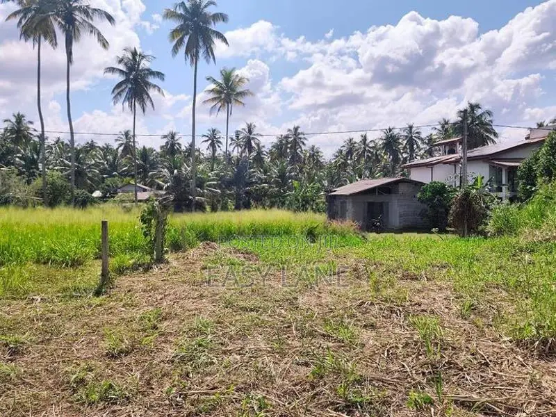 වේයන්ගොඩින් පර්චස් 10ක අගනා බිම් කොටසක්