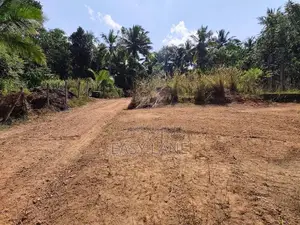 යක්කල නගරයට ඉතාම ආසන්නයෙන් අගනා පර්චස් 15ක බිම් කොටසක්