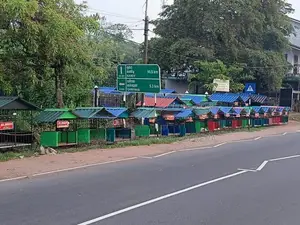 Dog Cages