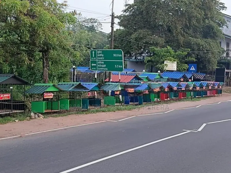 Dog Cages
