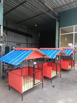 Dog Cages