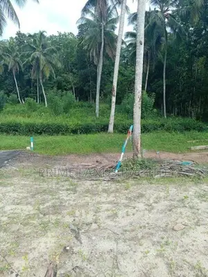 Coconut Estate for Sale Thalagala