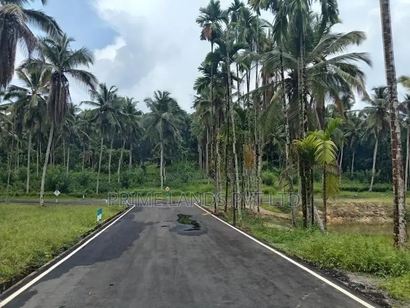 Coconut Estate for Sale Thalagala