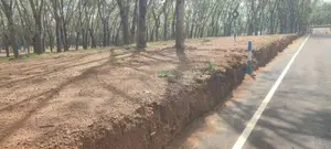 හෝමාගම තලගල ඉඩම්