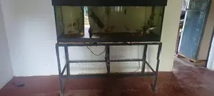Fish Tank