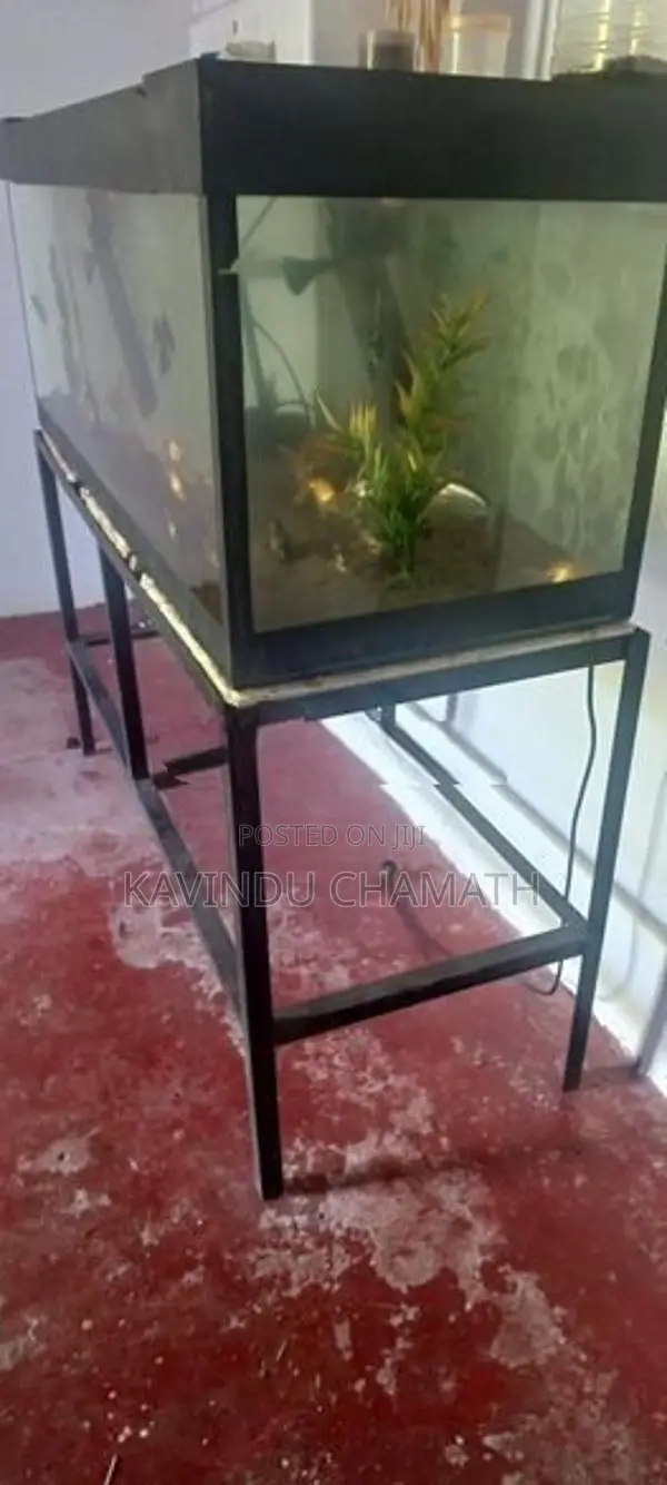 Fish Tank