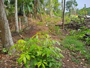 Valuable Land for Sale in Kapuduwa, Matara