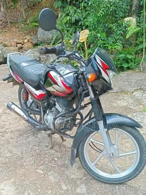 Bajaj CT100 2019