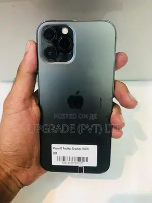 Apple iPhone 12 Pro Max 256GB (Used)