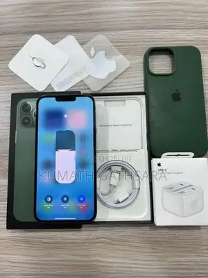 Apple iPhone 13 Pro Max 128GB (Used)