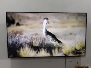 Samsung 65" QLED TV