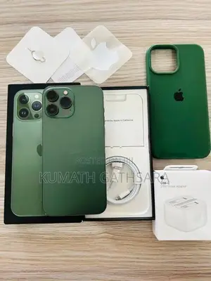 Apple iPhone 13 Pro Max 128GB (Used)