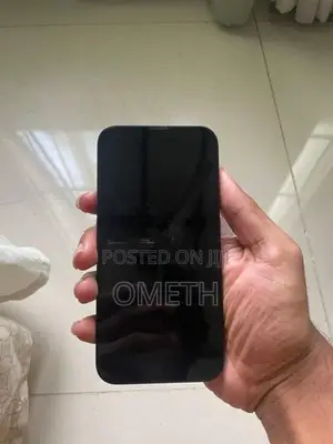 Apple iPhone 13 128GB (Used)