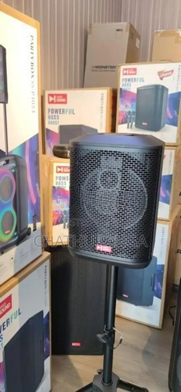 Swiss Sound SS804 Type Speaker