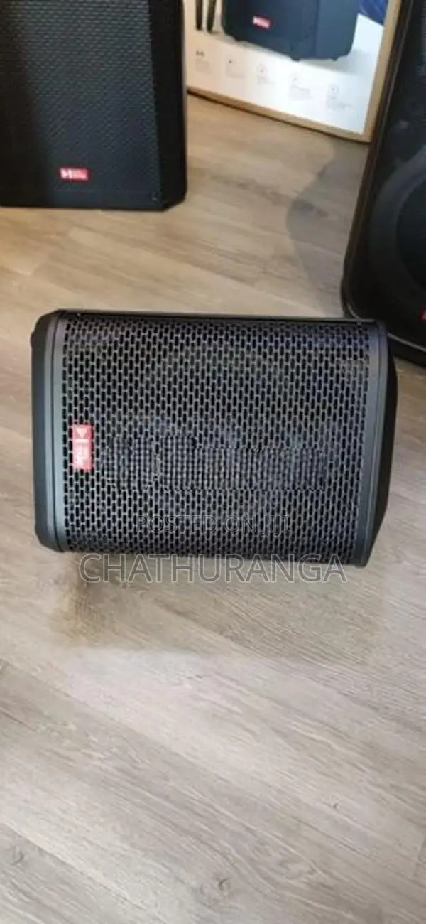 Swiss Sound SS804 Type Speaker