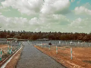 Land for Sale Kuliyapitiya
