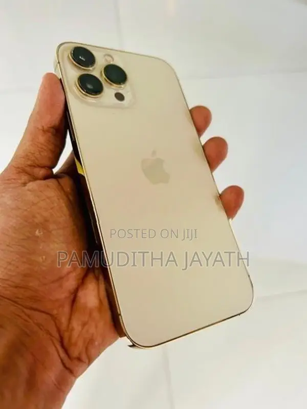 Apple iPhone 13 Pro Max (Used)