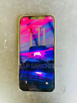 Apple iPhone 12 Pro Max (Used)