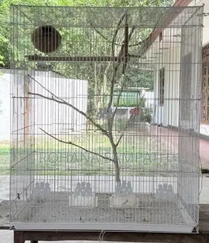 Bird Cage