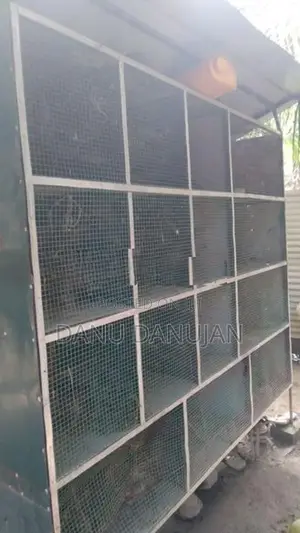 Bird Cage