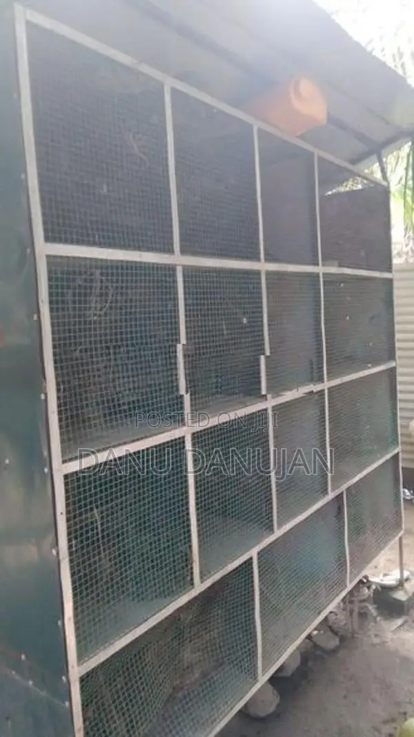 Bird Cage
