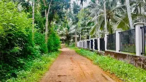 Coconut land for Sale Mirigama