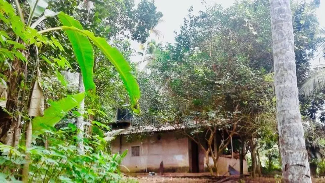 Coconut land for Sale Mirigama