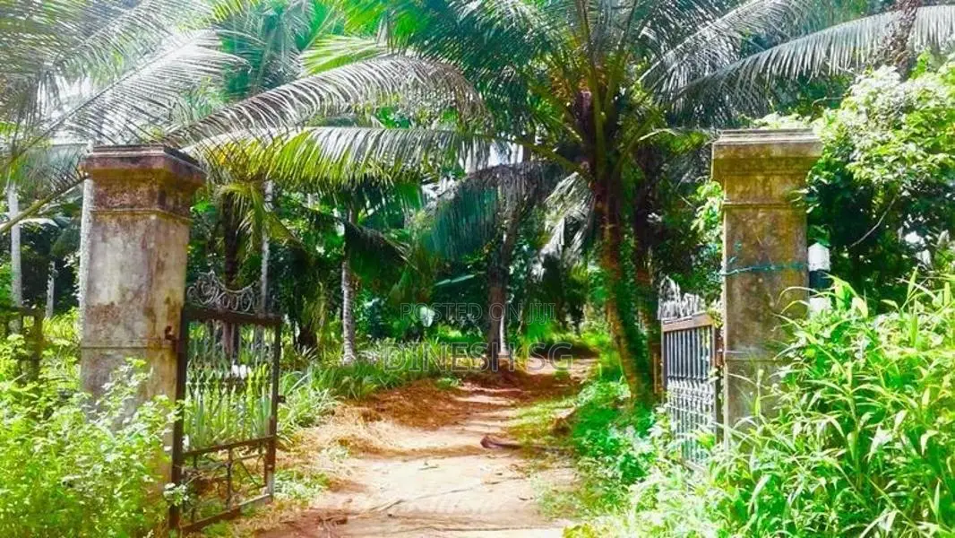 Coconut land for Sale Mirigama