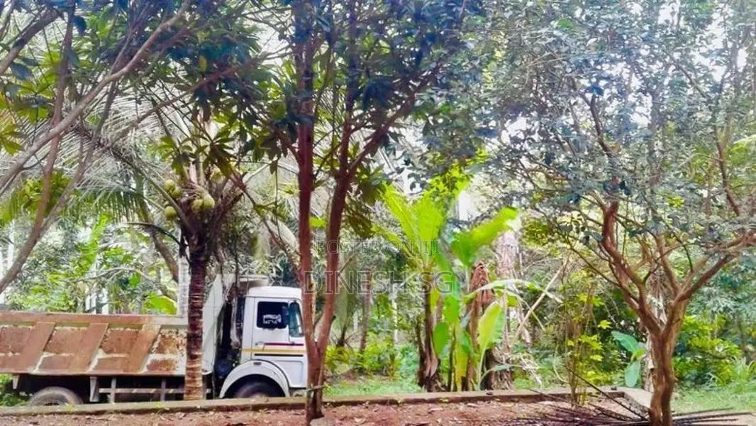 Coconut land for Sale Mirigama
