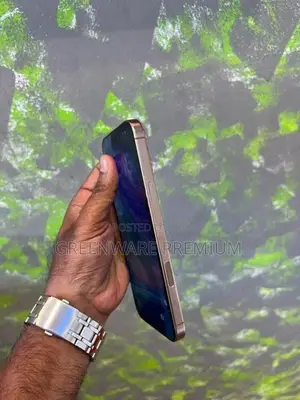 Apple iPhone 16 Pro Max 256GB (Used)